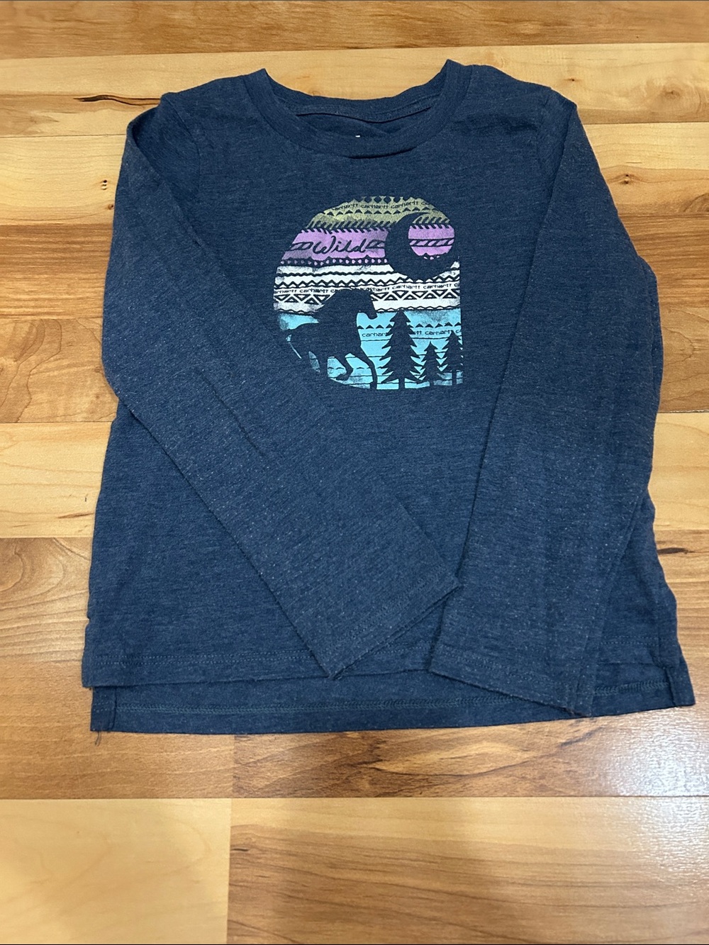 Carhartt Gray Long Sleeve Tee with Multicolor Sunset Horse Graphic 4T